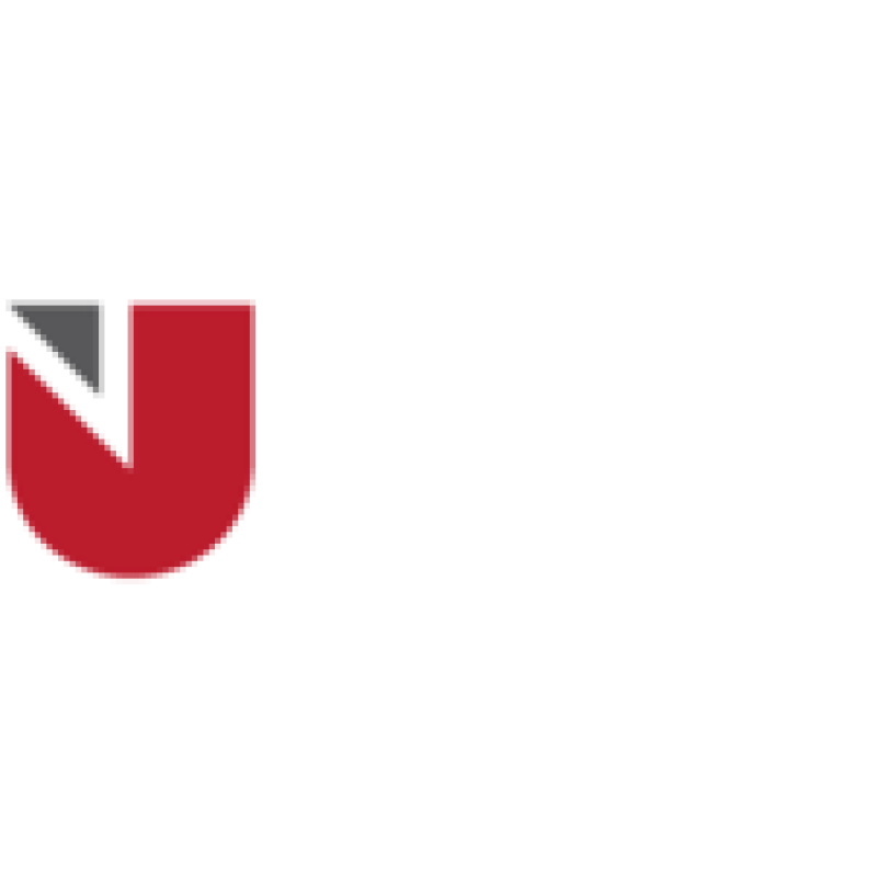 Unic logo