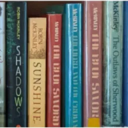 Robinmckinleysblog logo