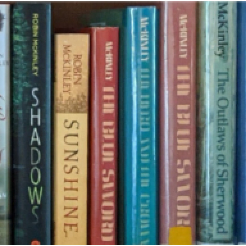 robinmckinleysblog.com