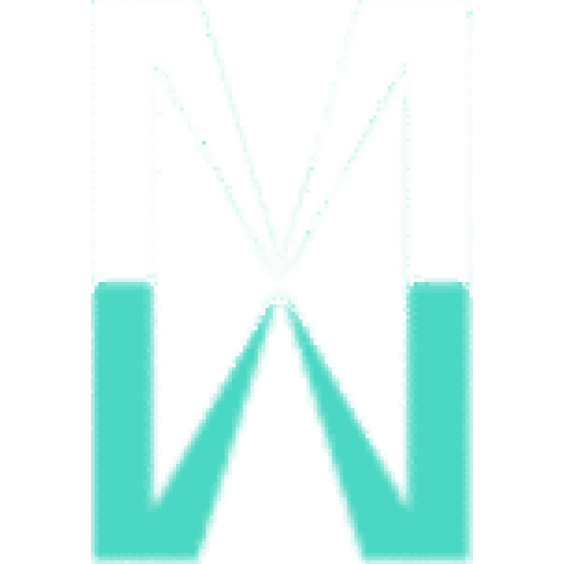 Metis Strategy