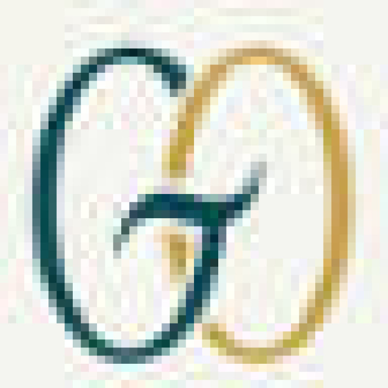 Gabeortiz logo