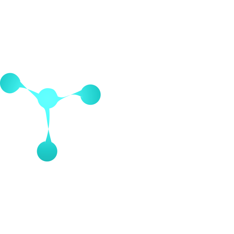 Torch logo