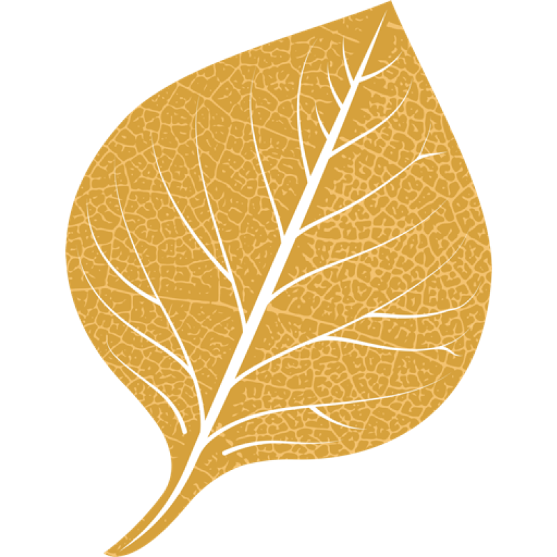 pandocore.io