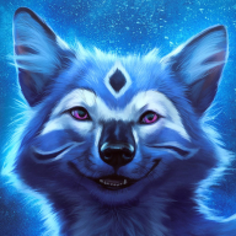 Dhole Moments logo