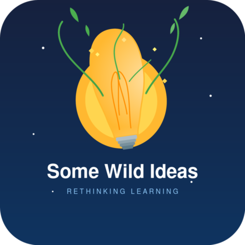 somewildideas.com