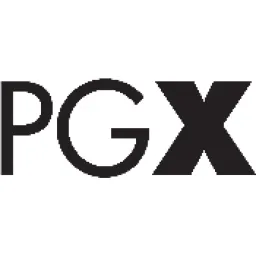 Pgexperts logo