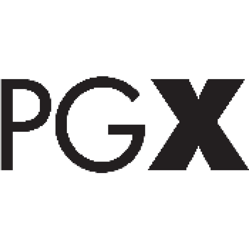 Pgexperts logo