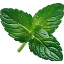 Pure Mint Software logo