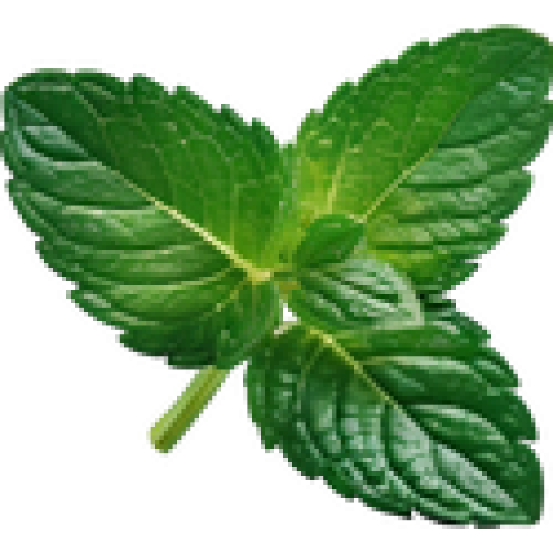 puremint.co.uk