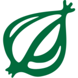 The Onion logo