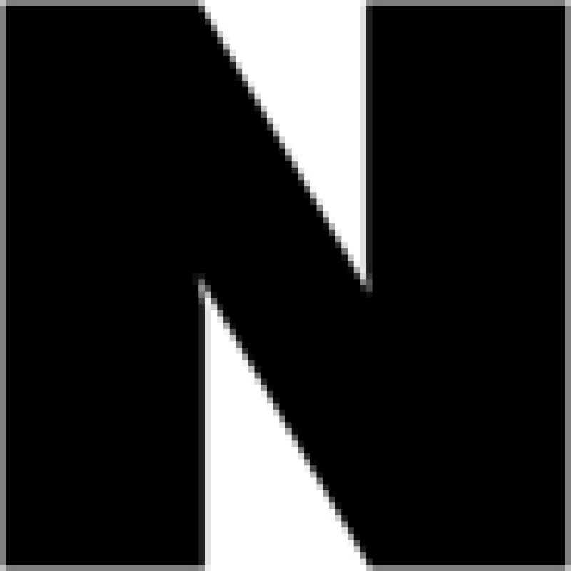 NylonMag logo