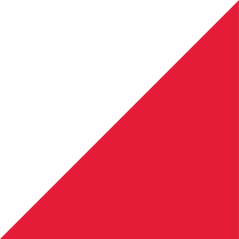 Literary Review of Canada logo