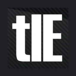 The Incidental Economist logo