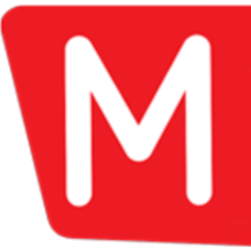 Metrosiliconvalley logo