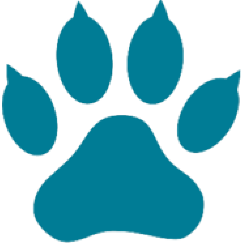 Act4AnimalsEU logo