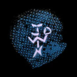 Coding Nagger logo