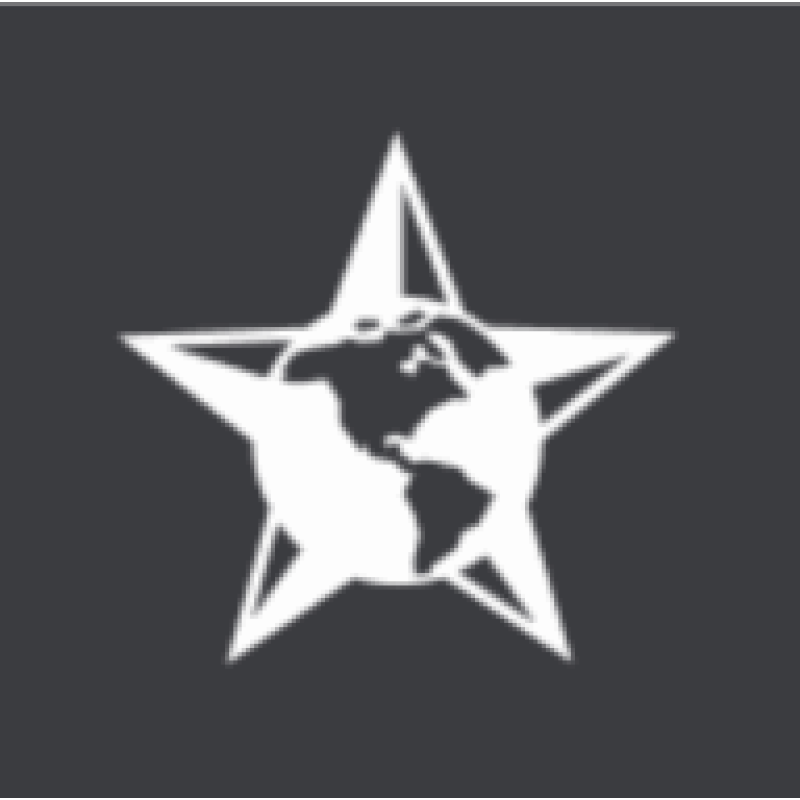 Texas National Security Review logo