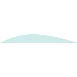 Floridaculturetimes logo