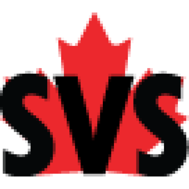 Startup Visa Services logo