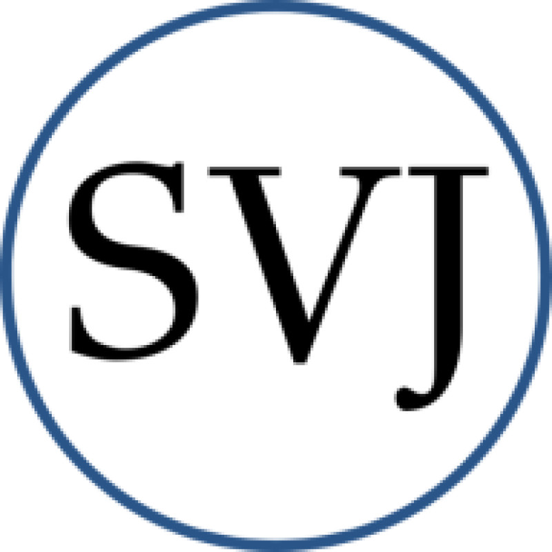 Silicon Valleys Journal