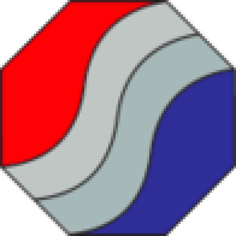 Bssa logo