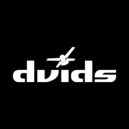 DVIDS logo