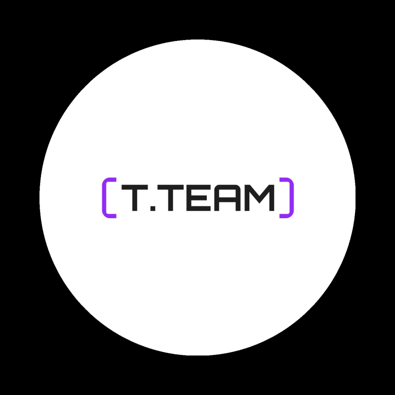 T.Team logo