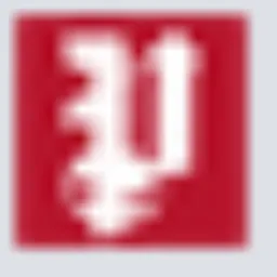 The Patriot On Sunday logo