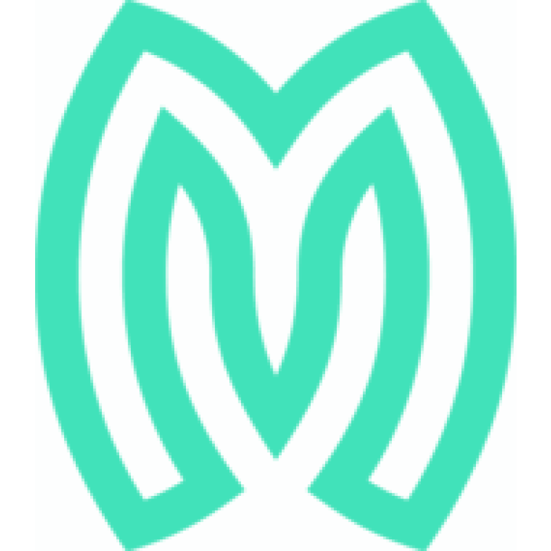 Metroize logo