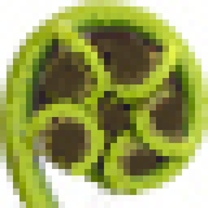 Man7