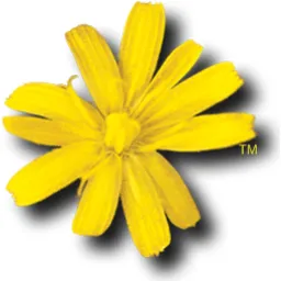 Amigaforever logo