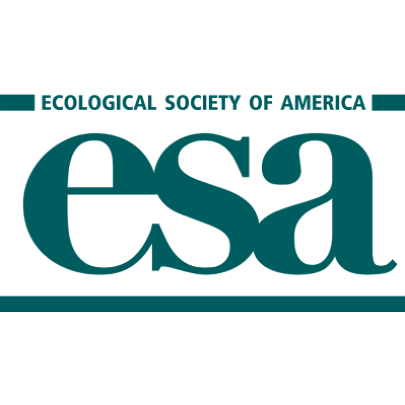 EsaMain logo