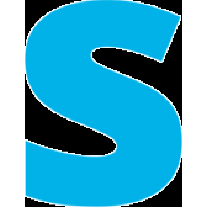 Smart Vision Labs logo