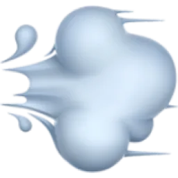 Sals logo