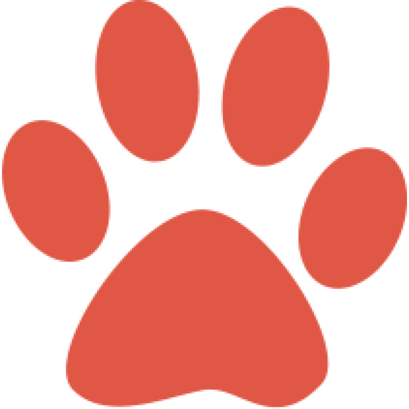 catonmat logo
