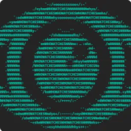 DUALUSE logo