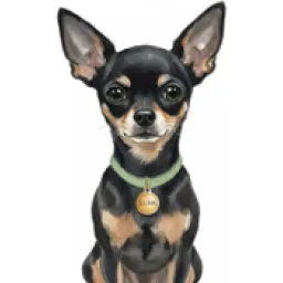 The Dogs of San Francisco logo
