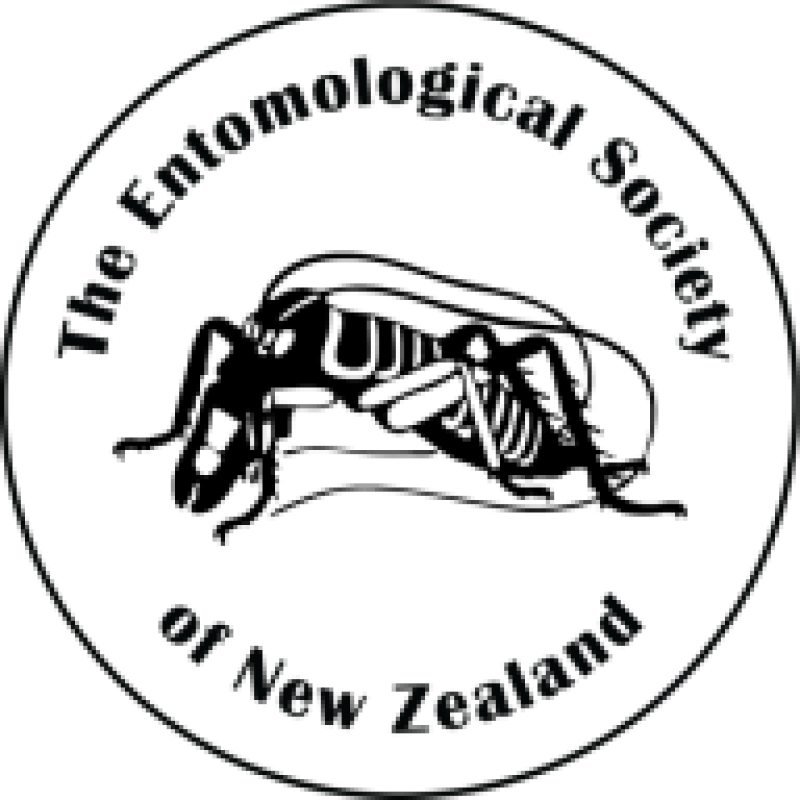 bugoftheyear.ento.org.nz