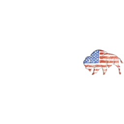 FedFis logo