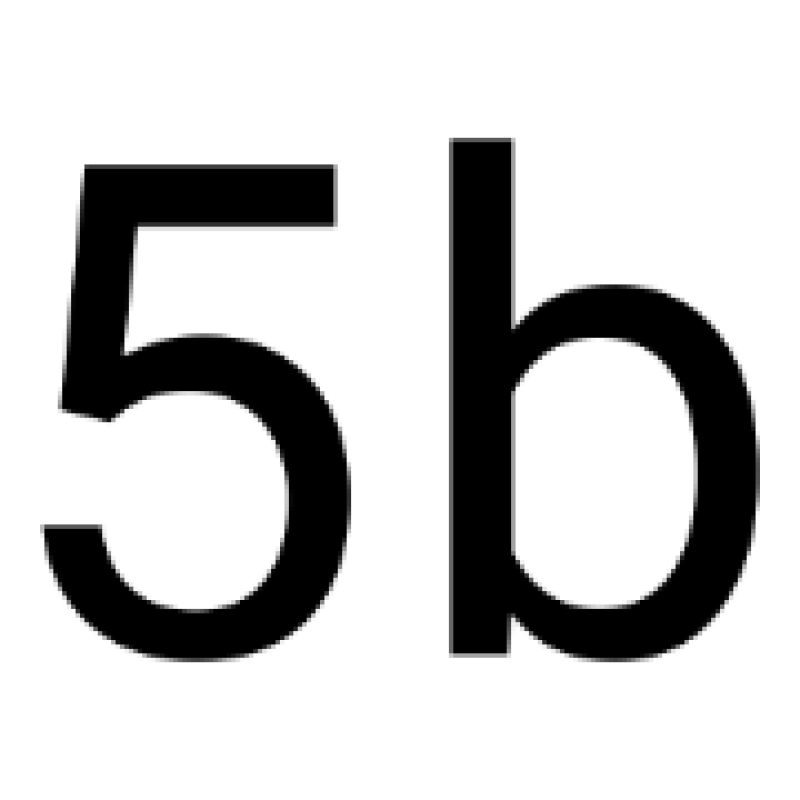 5Blockchains