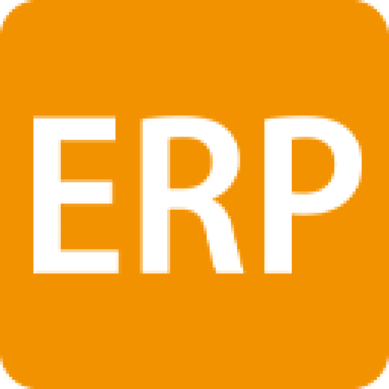 ERP Management logo