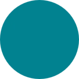 Ocean Census logo