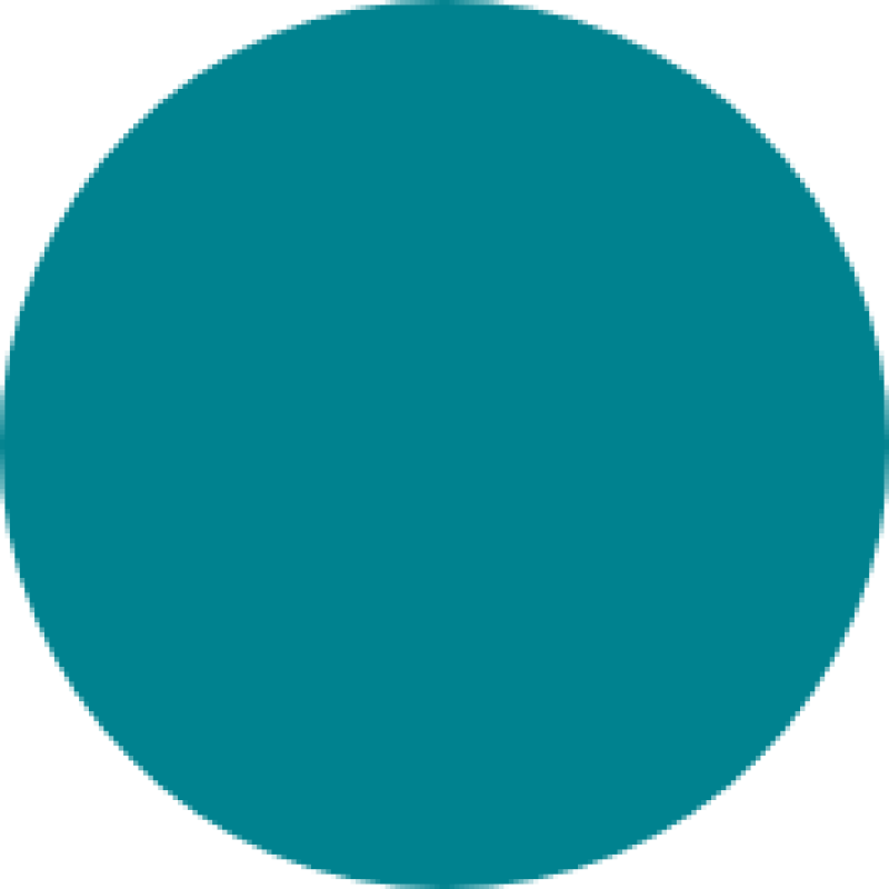 Ocean Census logo