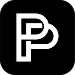 PeerPush logo