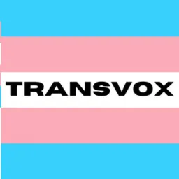 Transvox logo