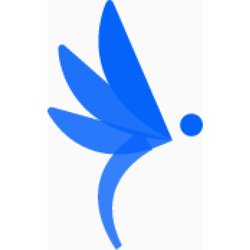Dragonfly Thinking logo