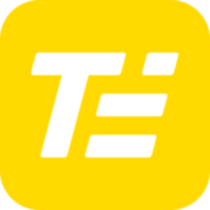 True Engineering logo