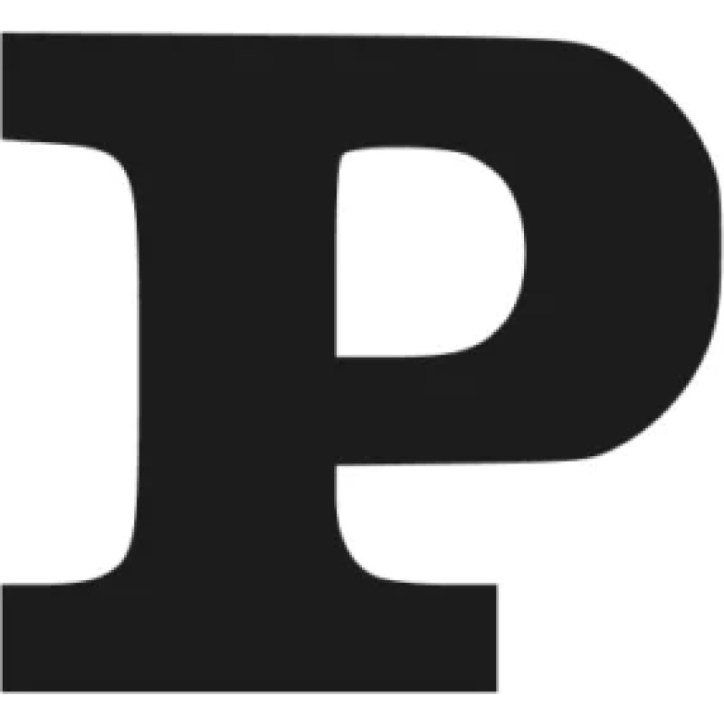 Panorama logo