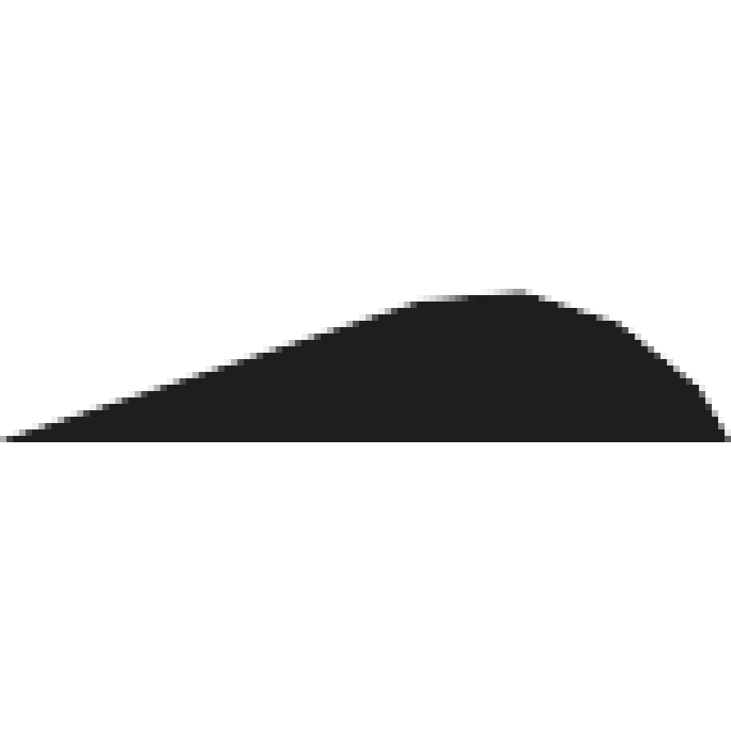 Domino Data Lab logo