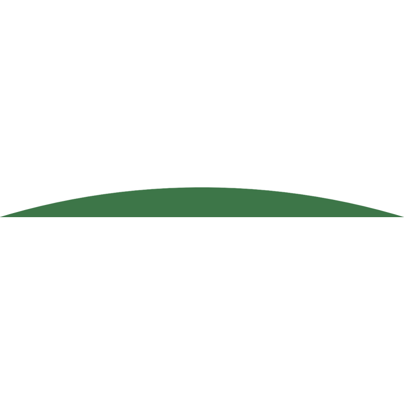 Timacad logo